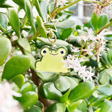 Load image into Gallery viewer, Light Green Froggy Charm
